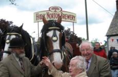 Hook Norton Horses