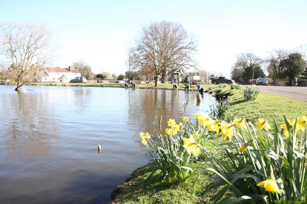 The Village Swan Pool