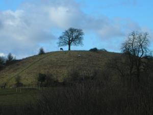 Crookbarrow Hill a.k.a. Whittington Tump