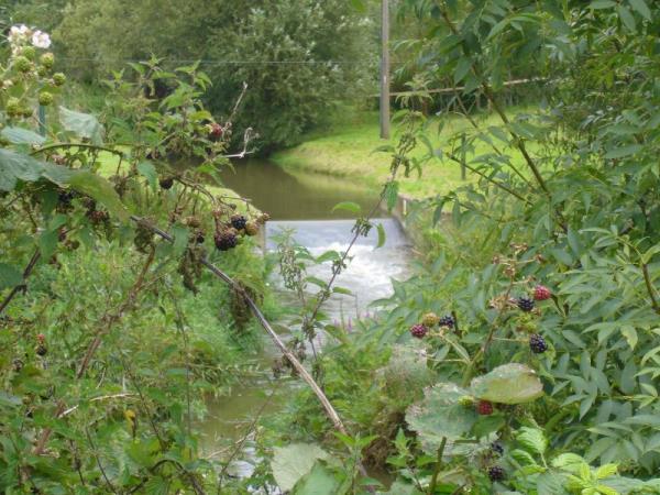 The Piddle Brook