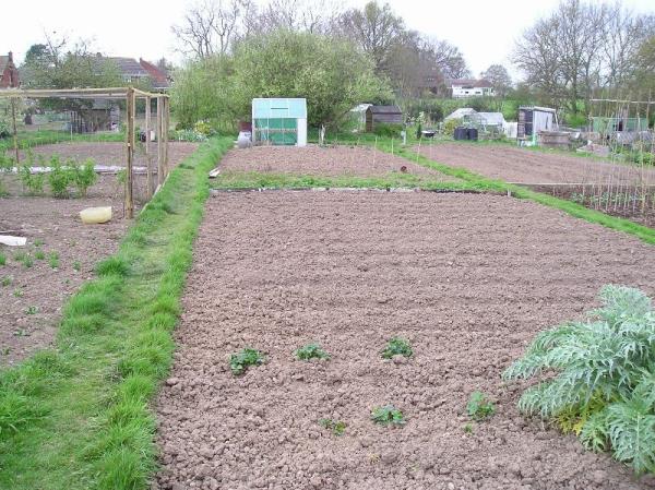 Lower Broadheath Allotments