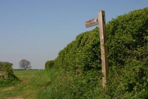 A Footpath Walk 