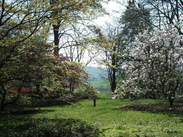 Arley Arboretum