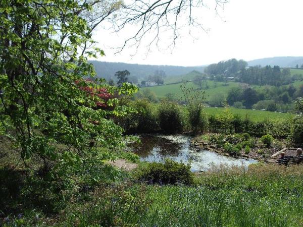 View of Arley