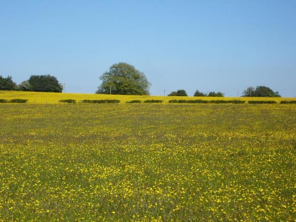 Teme Valley in Springtime