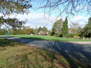 The cricket pitch at Bushley Green.