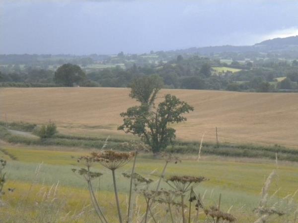 Shakenhurst Drive from Bayton Church Autumn