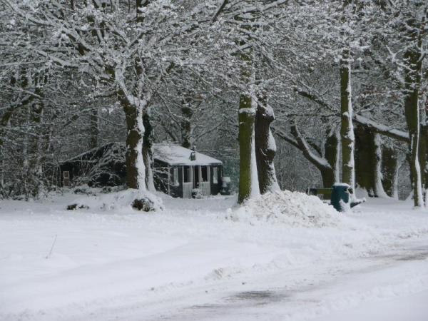 Views of Bushley - 13