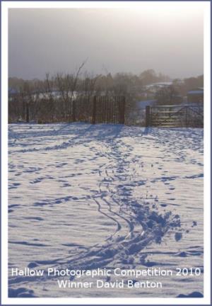 Hallow Photo Competition Winner 2010 - David Benton