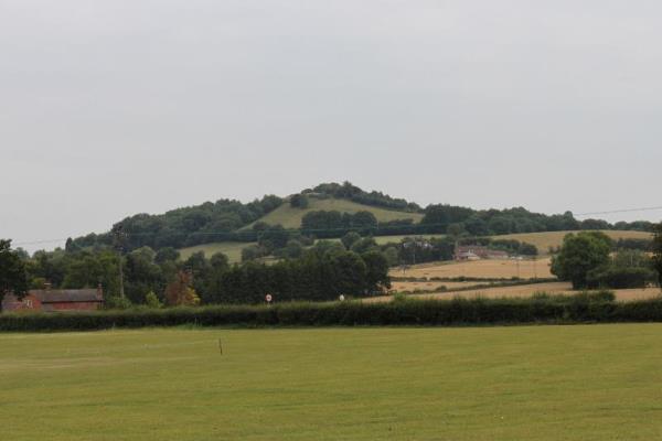 Berrow Hill and Beacon Point