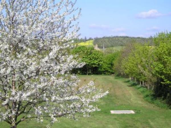 Norton towards Lenchwick