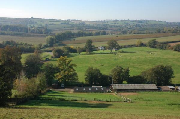 From the top of Grove Hill