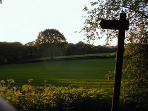 Beautiful Summers Evening in Hagley