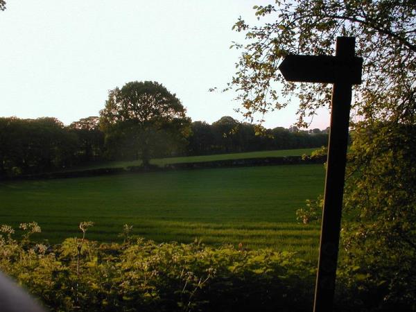 Fields in Hagley