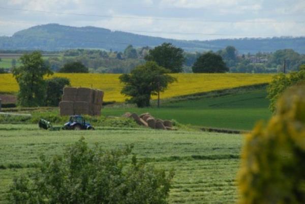 A view over the fields