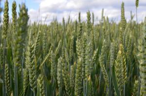 One of the largest parishes in Worcestershire, farming is part of everyday life