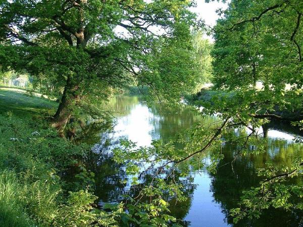 Lower Trout Pool