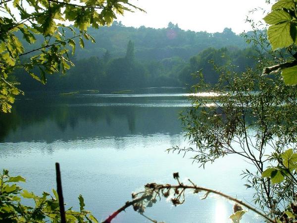 Cofton Lake