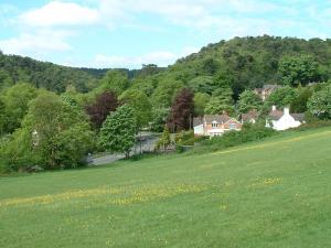 From Cofton park towards Bilberry Hill