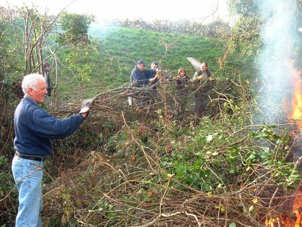 Hedge Laying Work 14th November 08