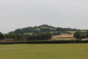 Berrow Hill and Beacon Site