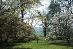 Arley Arboretum