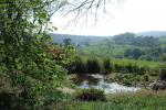 View of Arley