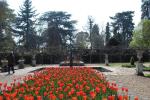 Italian Garden Arley Arboretum