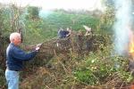 Hedge Laying Work 14th November 08