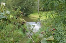 The Piddle Brook
