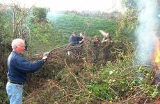 Hedgelaying working party 