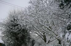 Winter January 2010