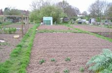 The allotments are an important local amenity and are much appreciated by the allotment holders