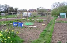 A futher example of allotment holders work