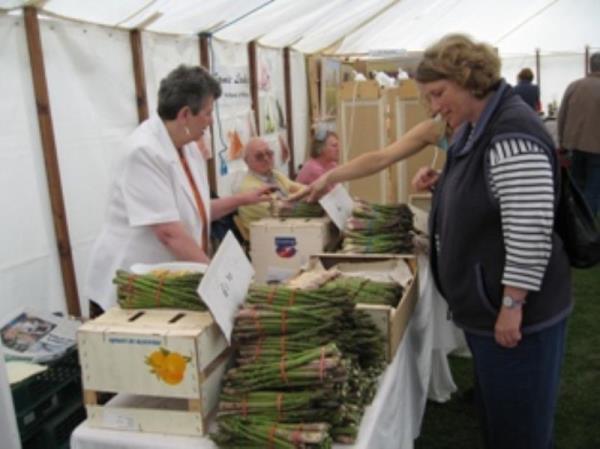 Asparagus Festival 