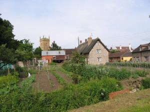 George's famous veg plot on the corner of Bridge St and Back Lane... 