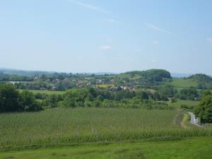 Summer scene in Lindridge with hop field in foreground.