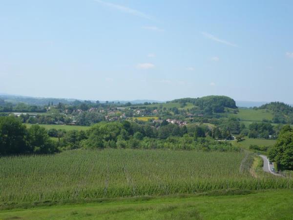 Hop fields in May in Lindridge Parish